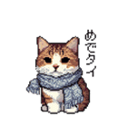 ドット絵 冬のキジトラ 猫 40種 定番（個別スタンプ：37）