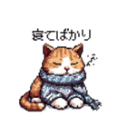 ドット絵 冬のキジトラ 猫 40種 定番（個別スタンプ：38）