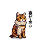 ドット絵 冬のキジトラ 猫 40種 定番（個別スタンプ：39）