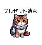 ドット絵 冬のキジトラ 猫 40種 定番（個別スタンプ：40）