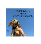 ポジティブシェリ蔵の迷言しゅう（個別スタンプ：8）