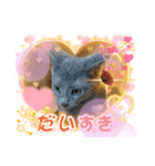 russianblue❤グリの部屋にようこそ2（個別スタンプ：5）