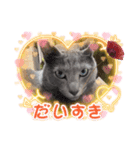 russianblue❤グリの部屋にようこそ（個別スタンプ：4）