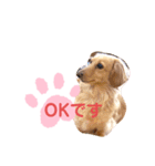 使いやすい敬語☆（個別スタンプ：1）
