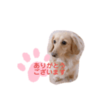 使いやすい敬語☆（個別スタンプ：5）