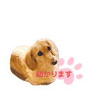 使いやすい敬語☆（個別スタンプ：7）