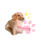 使いやすい敬語☆（個別スタンプ：8）