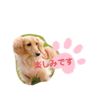使いやすい敬語☆（個別スタンプ：10）