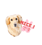 使いやすい敬語☆（個別スタンプ：12）