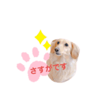 使いやすい敬語☆（個別スタンプ：14）