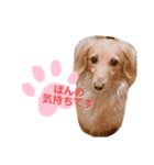 使いやすい敬語☆（個別スタンプ：17）