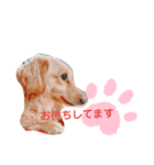 使いやすい敬語☆（個別スタンプ：20）