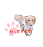 使いやすい敬語☆（個別スタンプ：24）