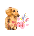 使いやすい敬語☆（個別スタンプ：27）