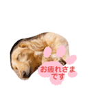 使いやすい敬語☆（個別スタンプ：28）