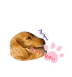 使いやすい敬語☆（個別スタンプ：32）