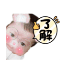いとchan【愛華】1〜2ヶ月（個別スタンプ：29）