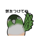 インコちゃんたちの日常会話（個別スタンプ：6）