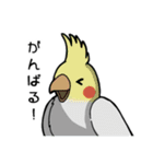 インコちゃんたちの日常会話（個別スタンプ：33）