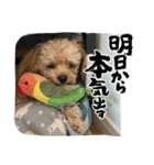 ハル氏の毎日（個別スタンプ：1）