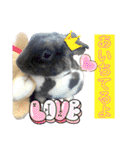うさぎ＆チンチラの日常用語スタンプ（個別スタンプ：21）