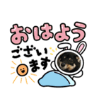 黒柴犬のゆきちゃんとにゃおじいの仲間たち（個別スタンプ：2）