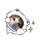 黒柴犬のゆきちゃんとにゃおじいの仲間たち（個別スタンプ：8）