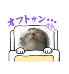 黒柴犬のゆきちゃんとにゃおじいの仲間たち（個別スタンプ：11）