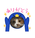 黒柴犬のゆきちゃんとにゃおじいの仲間たち（個別スタンプ：16）