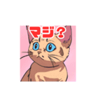 猫がみつめてくる？（個別スタンプ：1）