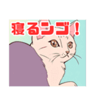 猫がみつめてくる？（個別スタンプ：4）