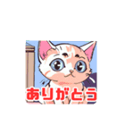 猫がみつめてくる？（個別スタンプ：6）