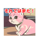 猫がみつめてくる？（個別スタンプ：8）