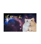 すべてを知ってしまった宇宙ハムスター（個別スタンプ：11）