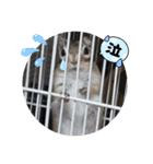 みんなと一緒 27（個別スタンプ：3）