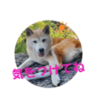 みんなと一緒 27（個別スタンプ：4）