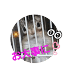 みんなと一緒 27（個別スタンプ：12）