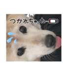 みんなと一緒 27（個別スタンプ：13）