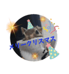 みんなと一緒 27（個別スタンプ：16）
