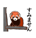 絶滅危惧種を救いたい（個別スタンプ：4）