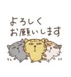 ねこがいる。【日常】（個別スタンプ：3）