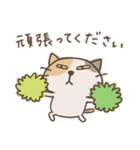 ねこがいる。【日常】（個別スタンプ：15）