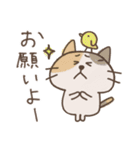 ねこがいる。【日常】（個別スタンプ：38）