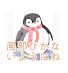 真冬のペンギン＊毎日使える大人スタンプ（個別スタンプ：36）