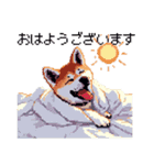 ドット絵 秋田犬 日常会話 40種（個別スタンプ：2）