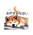 ドット絵 秋田犬 日常会話 40種（個別スタンプ：3）