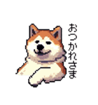 ドット絵 秋田犬 日常会話 40種（個別スタンプ：4）