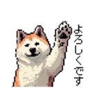 ドット絵 秋田犬 日常会話 40種（個別スタンプ：5）