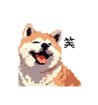 ドット絵 秋田犬 日常会話 40種（個別スタンプ：8）