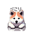 ドット絵 秋田犬 日常会話 40種（個別スタンプ：10）